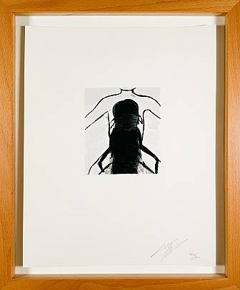 Superstitions  Radierung 